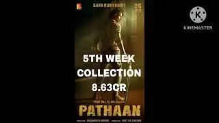 PATHAAN BOX OFFICE COLLECTION UPDATE (SHAH RUKH KHAN)
