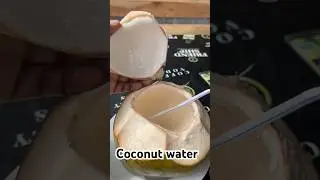 Fresh Coconut Water in Batam 🥥🇮🇩 | Pure Island Refreshment #shorts