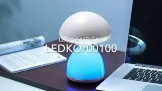 LEDKO 00100
