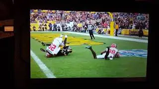 James Washington's Touchdown.