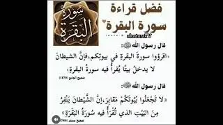 سورة البقرة _ بصوت : يحيى عيشان