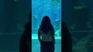 The Lost Chambers, Atlantis, Dubai