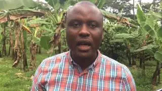 Uganda Vlog - Bugoye (The Village)