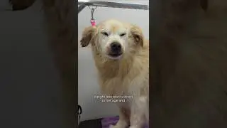 Just living out her Golden years