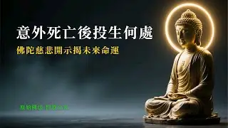 意外死亡後投生何處？佛陀慈悲開示揭未來命運。#佛教#佛陀開示#意外死亡#輪回#投生#善業#涅槃#摩诃男#迦毗羅衛城#尼拘律園#佛法#修行#生死無常#正法#慈悲智慧#未來世#因果#解脫之道