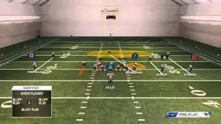 43 Over: LB Dogs Setup 1