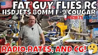 ALL NEW 80MM F-9 FROM HSD JETS RADIO RATES AND CG SETUPS! by FGFRC#rc