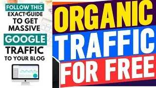 Traffic Ivy System | Profit Funnel System With Inbuilt Traffic | How To Get Free Traffic For Webs