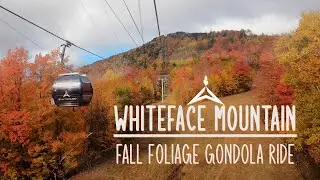 Tremendous Vibrant Foliage Coloration High Up WhiteFace Mountain
