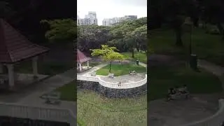 Lesser known spots of Singapore! This one&rsquo;s a beauty #travel #exploresg #nature #rediscoversingapore