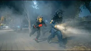 Police Wolf vs Ninja Wolf &ndash; Learning Good Behavior