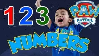 Let us LEARN NUMBERS with RAWSON | COUNTING PAW PATROL