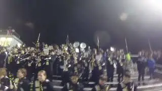 Daniel Hand High School Tiger Marching Band On Wisconsin #2