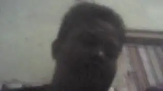 Melody di tinggal rabi toni cupang 096
