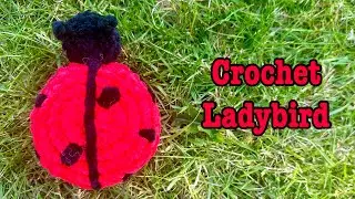 Crochet along a ladybird with me🐞/ Crochet ladybird/ Super easy beginner friendly/ Market bestseller