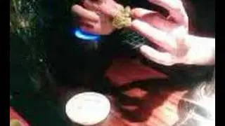 lettuce milk