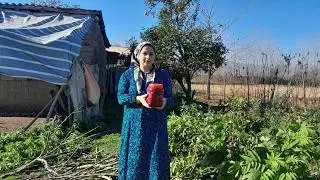 Village life in Iran/Making traditional Fesanjan stew🍛& how to make homemade pickled cauliflower🥦
