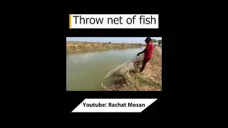 Throwing net of fish. #share #shorts #shortfeed