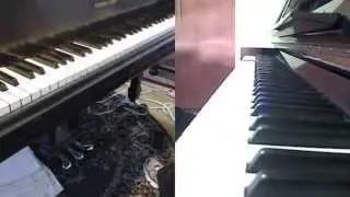 A Piano Lesson by Skype Primer