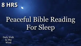 Peaceful Bible Reading for Sleep | Psalms 1–26 with Gentle Prayer