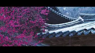 (8K 영상) magic bullet test 2022 (Red 8K)
