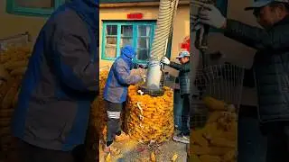 Farmer&rsquo;s Ingenuity: Suction Fan Makes Corn Loading Easier #harvest #farming #funny