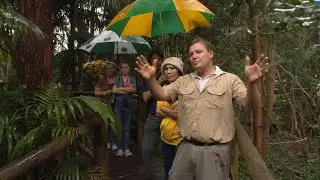 Large Top Tourism Town Entrant: Tambourine Mountain