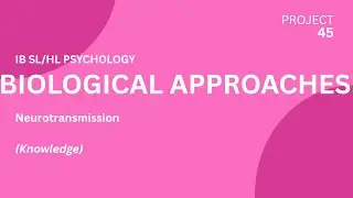 Neurotransmission - IB Psychology SL