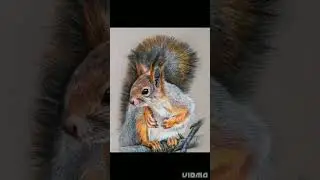 realistic cute squirrel art 😍😍🎨🎨#shorts #ytshorts #viralvideo