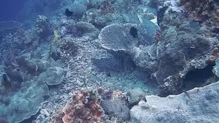 New ocean best 4k video | and relaxing music ||ocean video