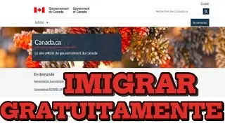 🇨🇦Oportunidade para sair do seu país 🥳custo zero e viveres no Canada 🍁 🇦🇴🇧🇷🇵🇹🇲🇿🇨🇻🇬🇳
