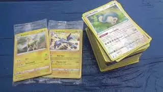 POKEMON CARD JACKPOT (FOUND LOTS OF THEM IN THE GAMESTOP DUMPSTER ONCE AGAIN)!!!
