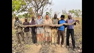 Highlights - Cameroon Savannah - Thurman 2022