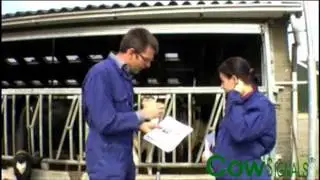 Kuhsignale (CowSignals -Vetvice)