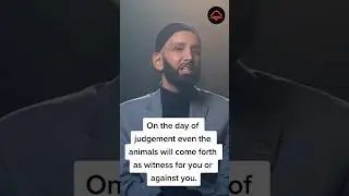 On the day of judgement even the animals will come forth as witness for you or against you #pbuhﷺ