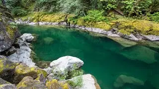 Quartzville Creek, Emerald Green Water in Oregon! #outdoors #exploring #river #nature #creek