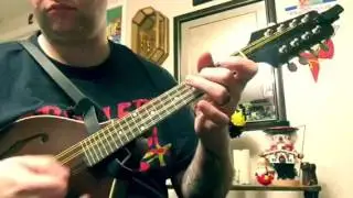 PAVA mandolin