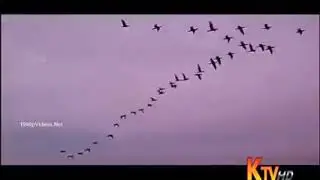Maayavane Maayavane