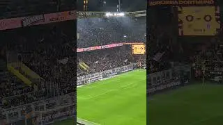 Dortmund St.Pauli away fans #stpauli #signalidunapark #bundesliga #awaydays #ultrasworld #ultras