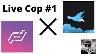 Project Destroyer Live Cop With Flappybot