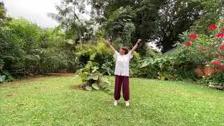 Lian Gong em dezoito terapias (parte 2)