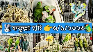 ফতুল্লা হাট 👉৬/১/২০২৬//আজকের বাজার দর//Bird market in Bangladesh //Icche Puron 