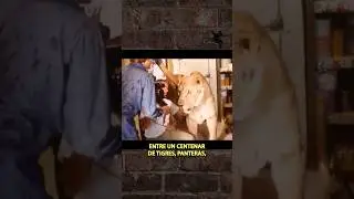 Los directores m&aacute;s c4br0n3s de la historia- Noel Marshall y ROAR