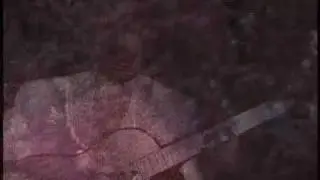 Non Ordinary Reality