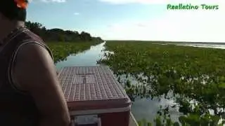 Reallatino Tours-Bootsafari Hato El Cedral, Llanos, Venezuela