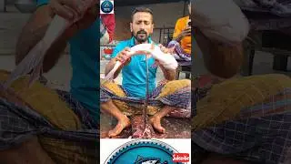 Watch Till End! Perfect Pangas Fish Cutting 😲 #USA #EUROPE #fishbutchering #pangasius #fishfilleting