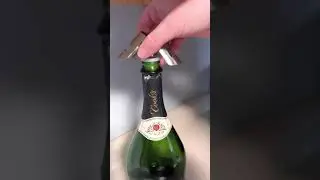 BETTFOR Champagne Stoppers Review, Can fit the bottle in the fridge now