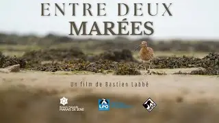 Entre deux marées - Documentaire