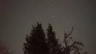Winter Stars
