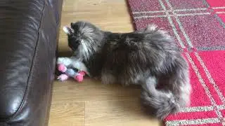 Oliver playing with new unicorn toy